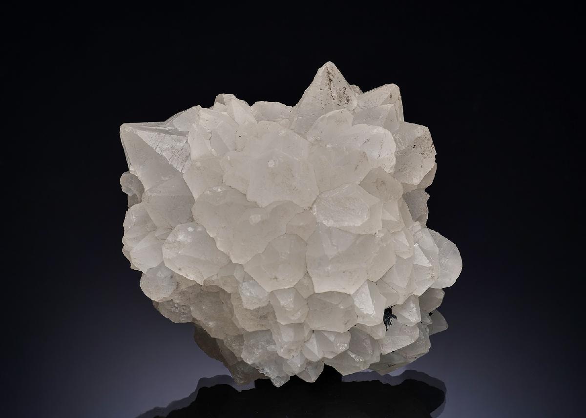 CC56226 specimen image
