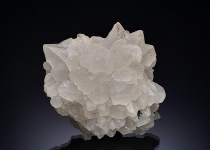 CC56226 specimen image