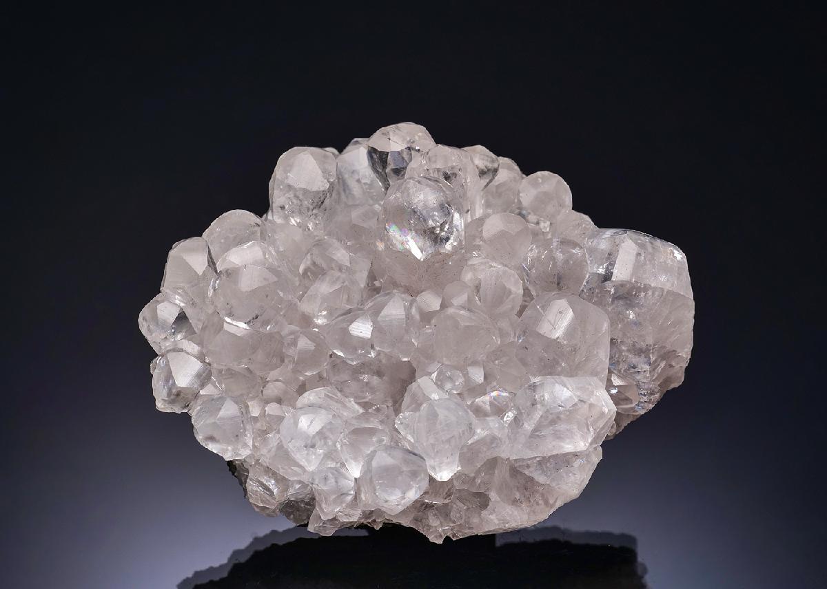 CC56230 specimen image