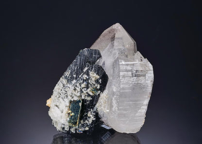 CC56232 specimen image