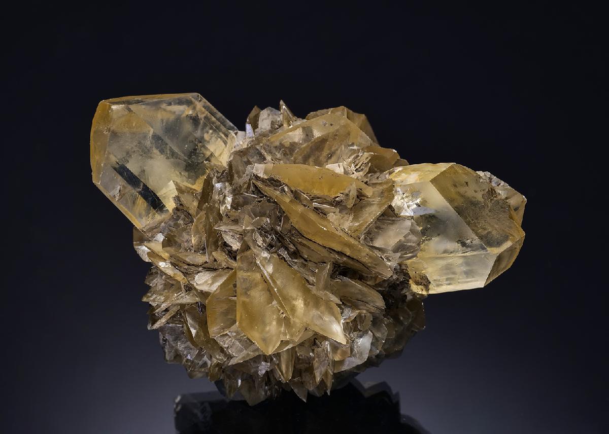 CC56236 specimen image