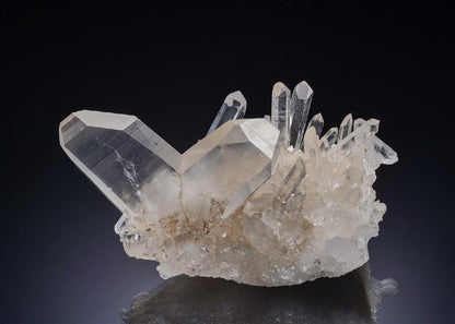 CC56244 specimen image