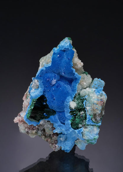 CC56258 specimen image