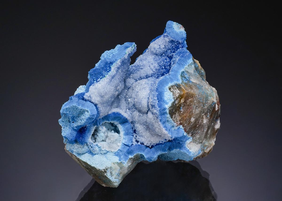 CC56266 specimen image