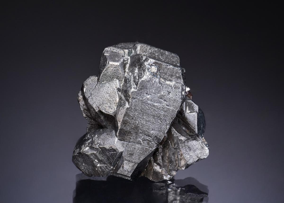 CC56270 specimen image
