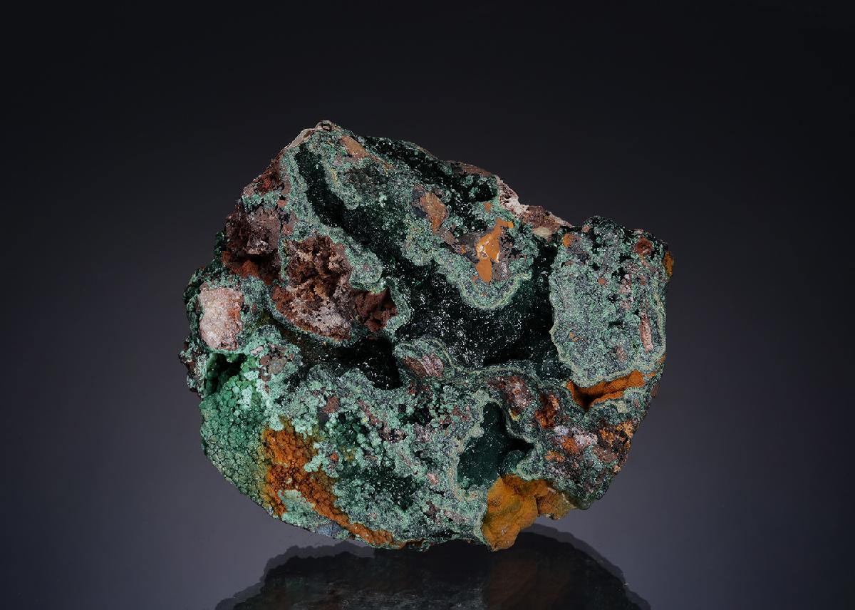 CC56274 specimen image
