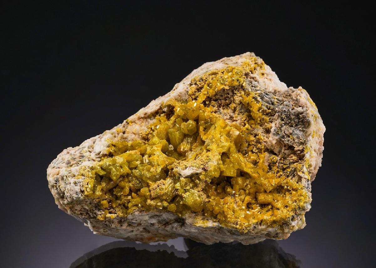 CC56280 specimen image