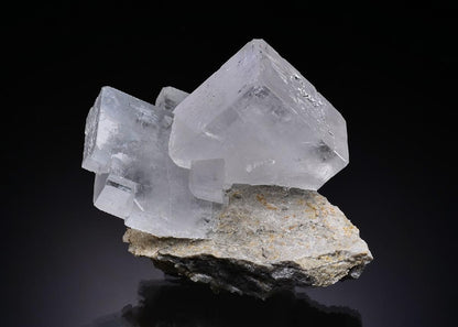 CC56296 specimen image