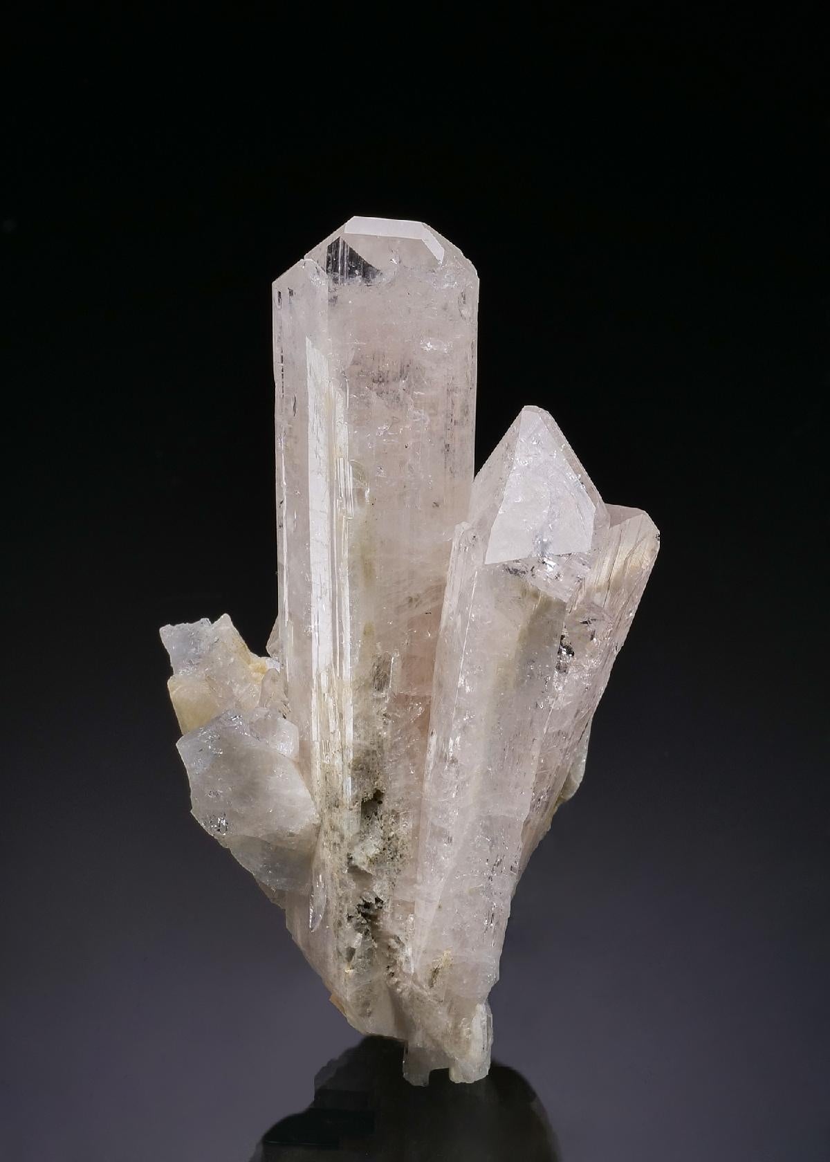 CC56298 specimen image