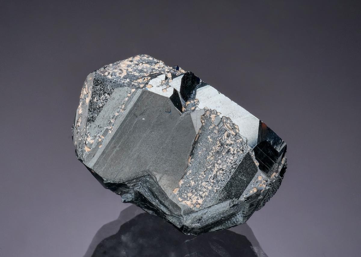 CC56304 specimen image
