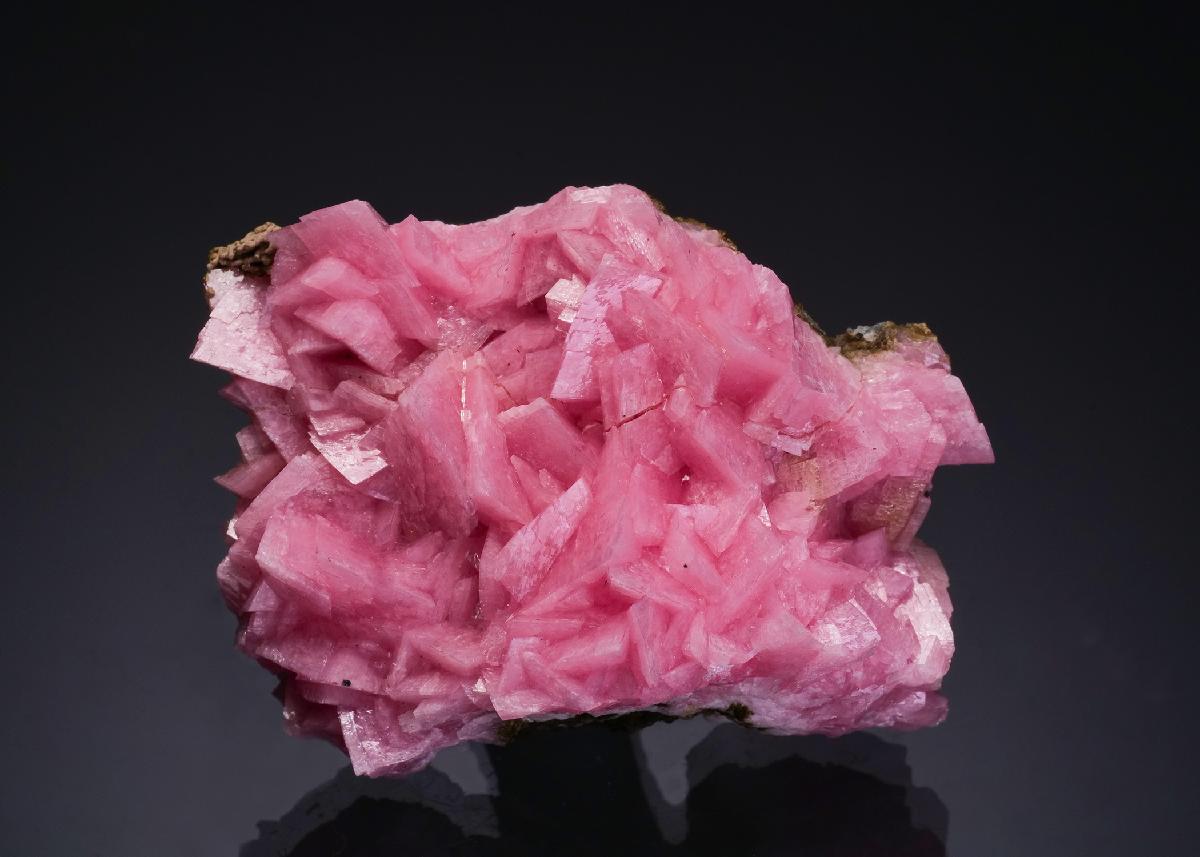 CC56326 specimen image