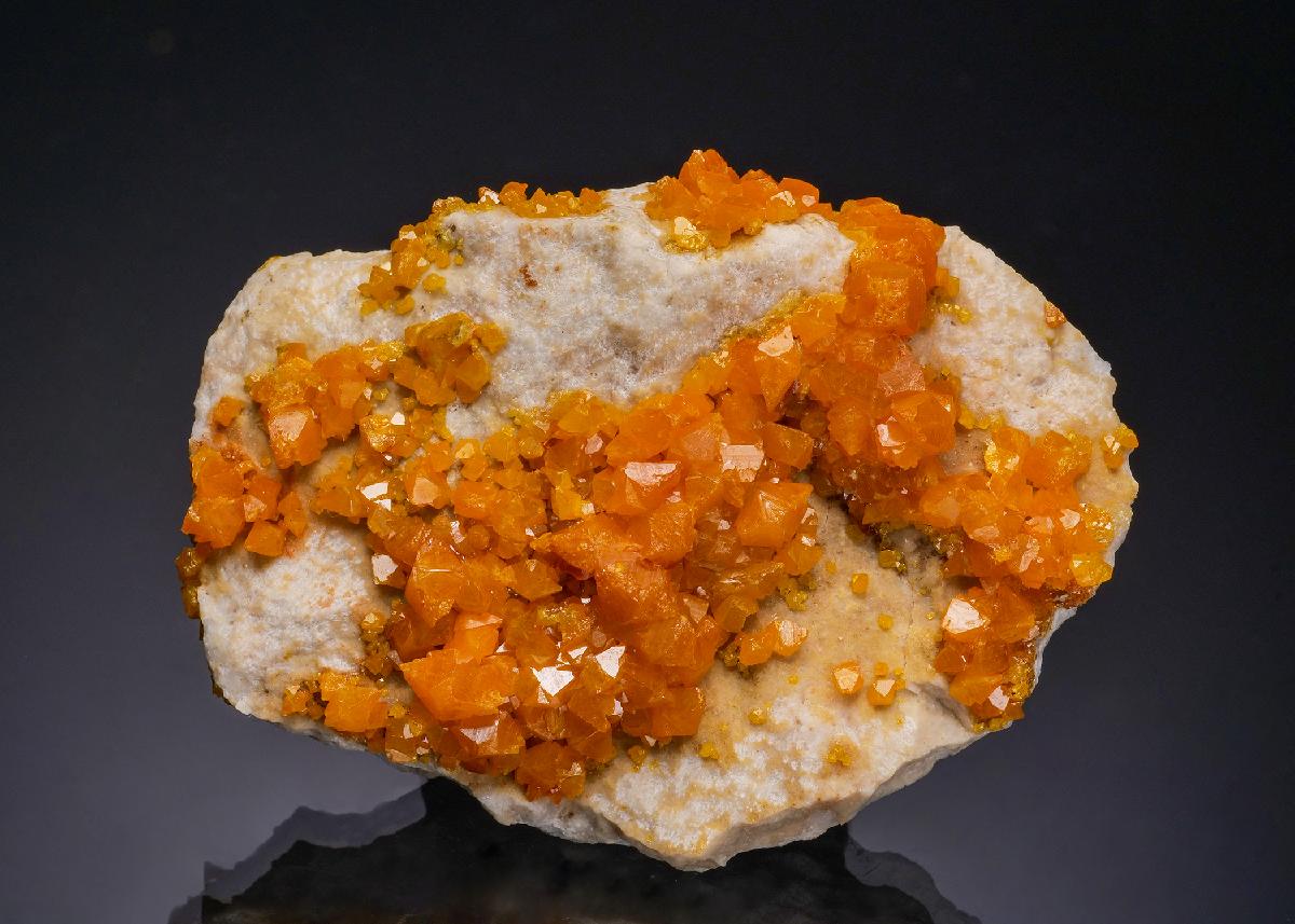 CC56328 specimen image
