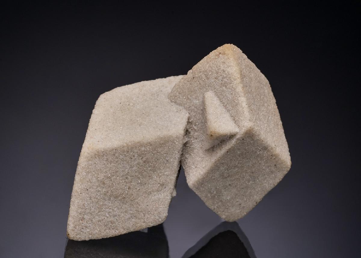CC56336 specimen image