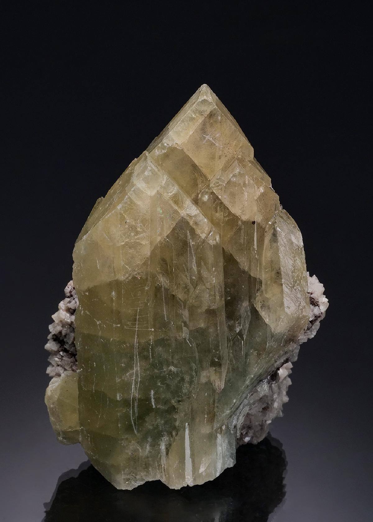 CC56338 specimen image