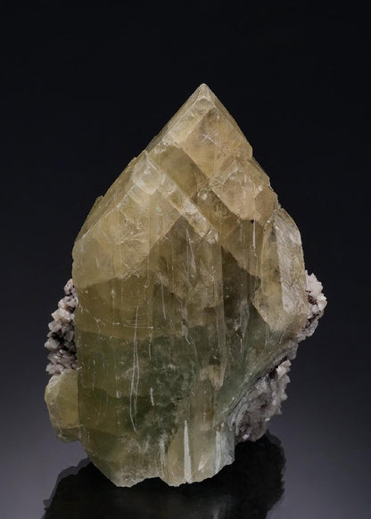 CC56338 specimen image