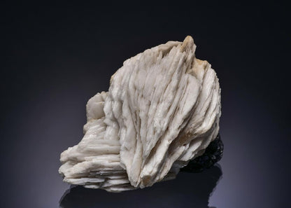 CC56346 specimen image