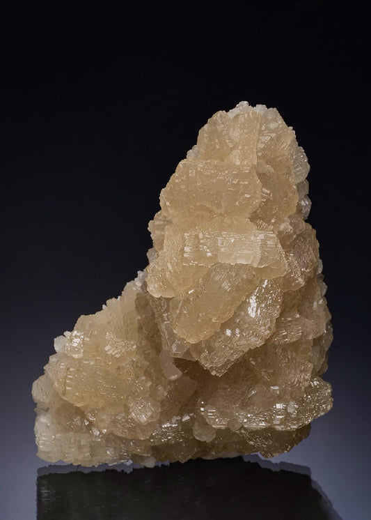 CC56352 specimen image