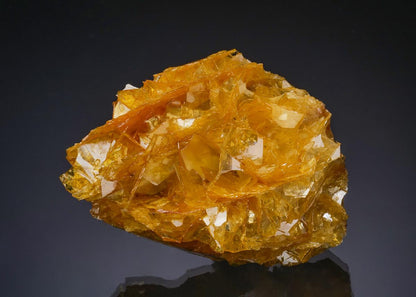 CC56354 specimen image