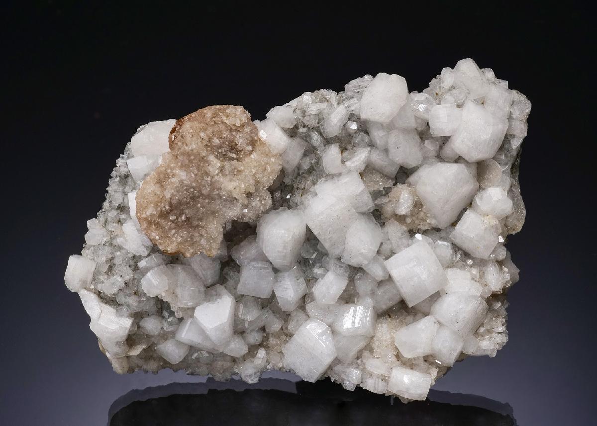 CC56358 specimen image