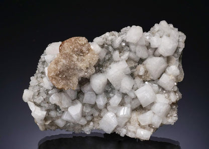 CC56358 specimen image