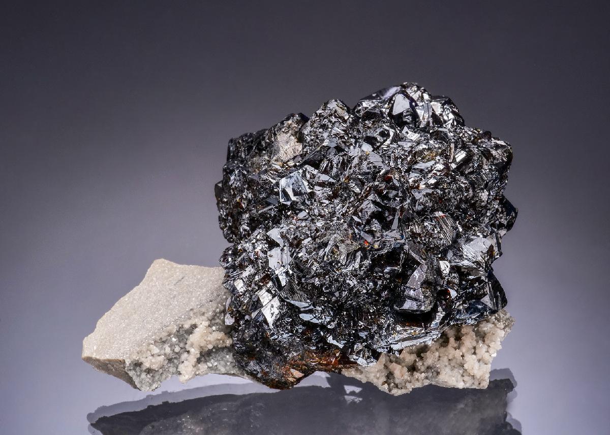 CC56360 specimen image