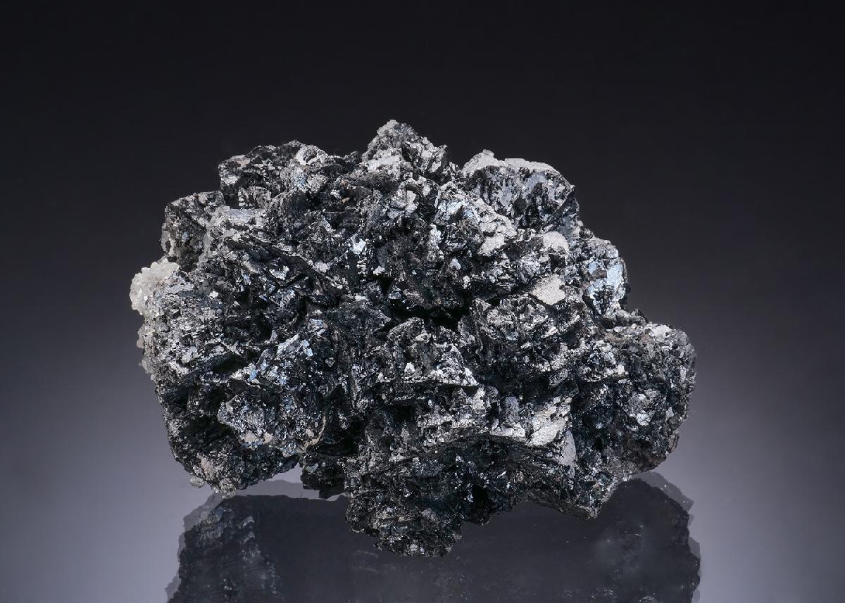 CC56370 specimen image
