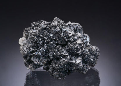 CC56370 specimen image