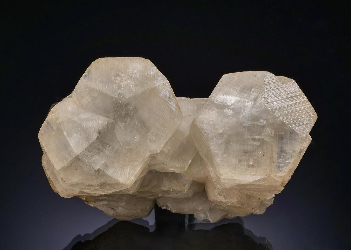 CC56390 specimen image