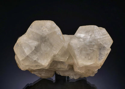 CC56390 specimen image
