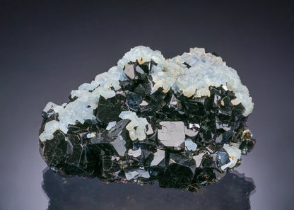 CELESTINE on FLUORITE