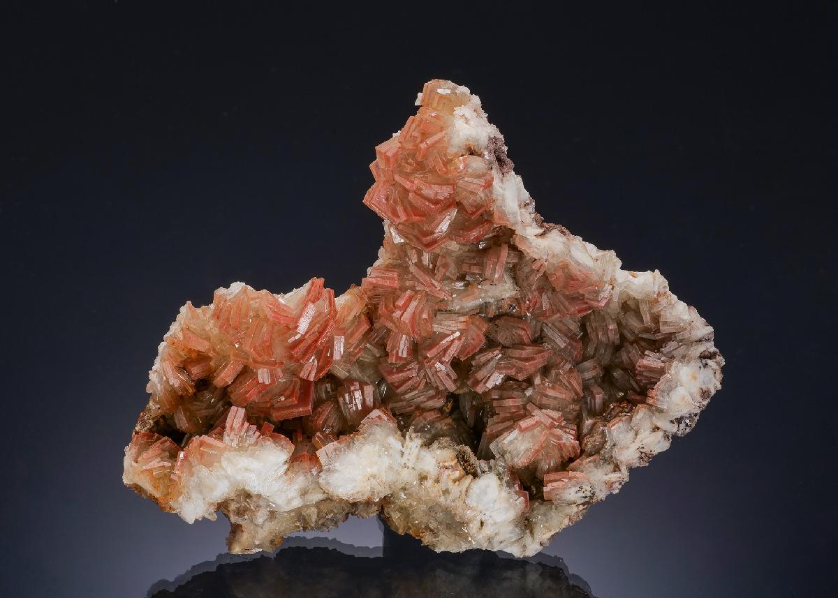 CC56396 specimen image