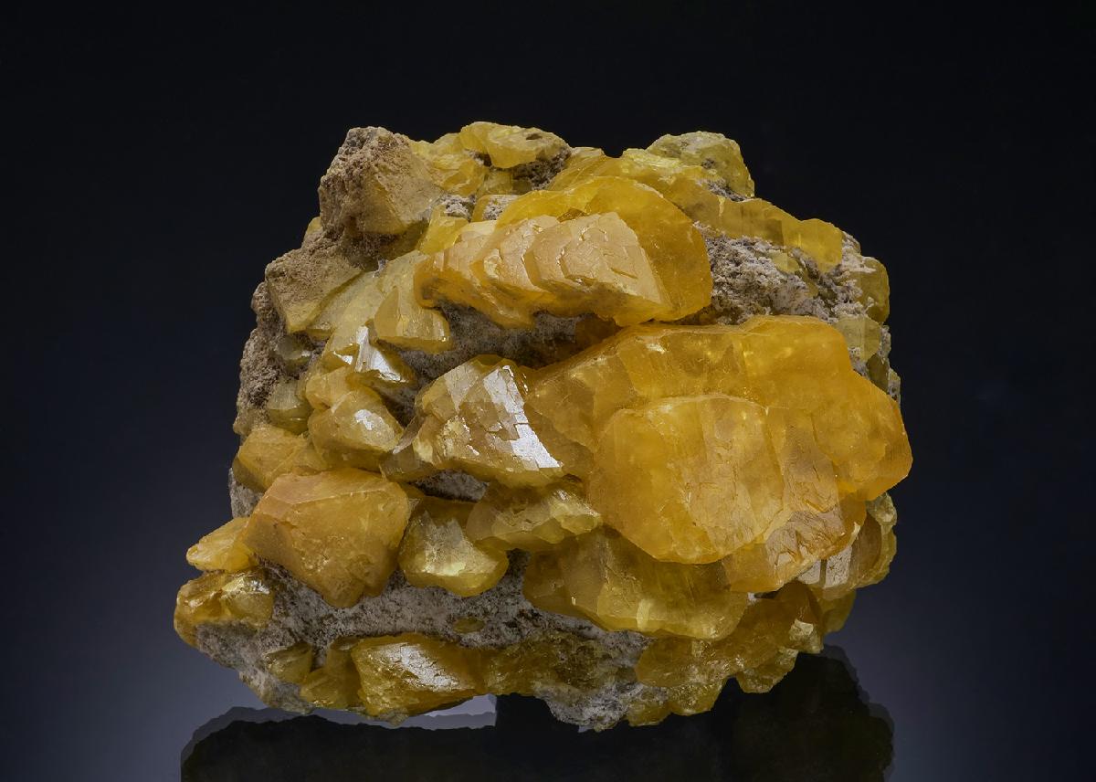 CC56398 specimen image