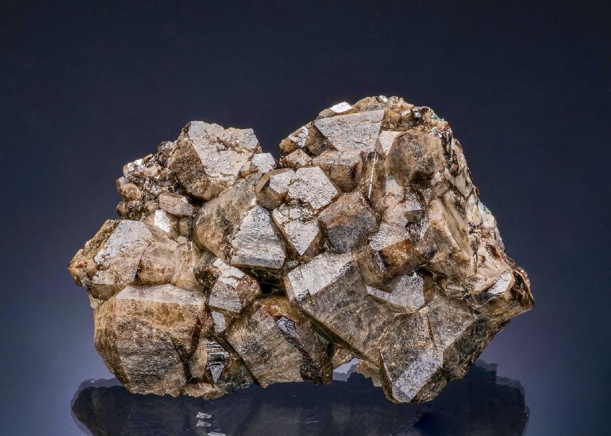 CC56402 specimen image