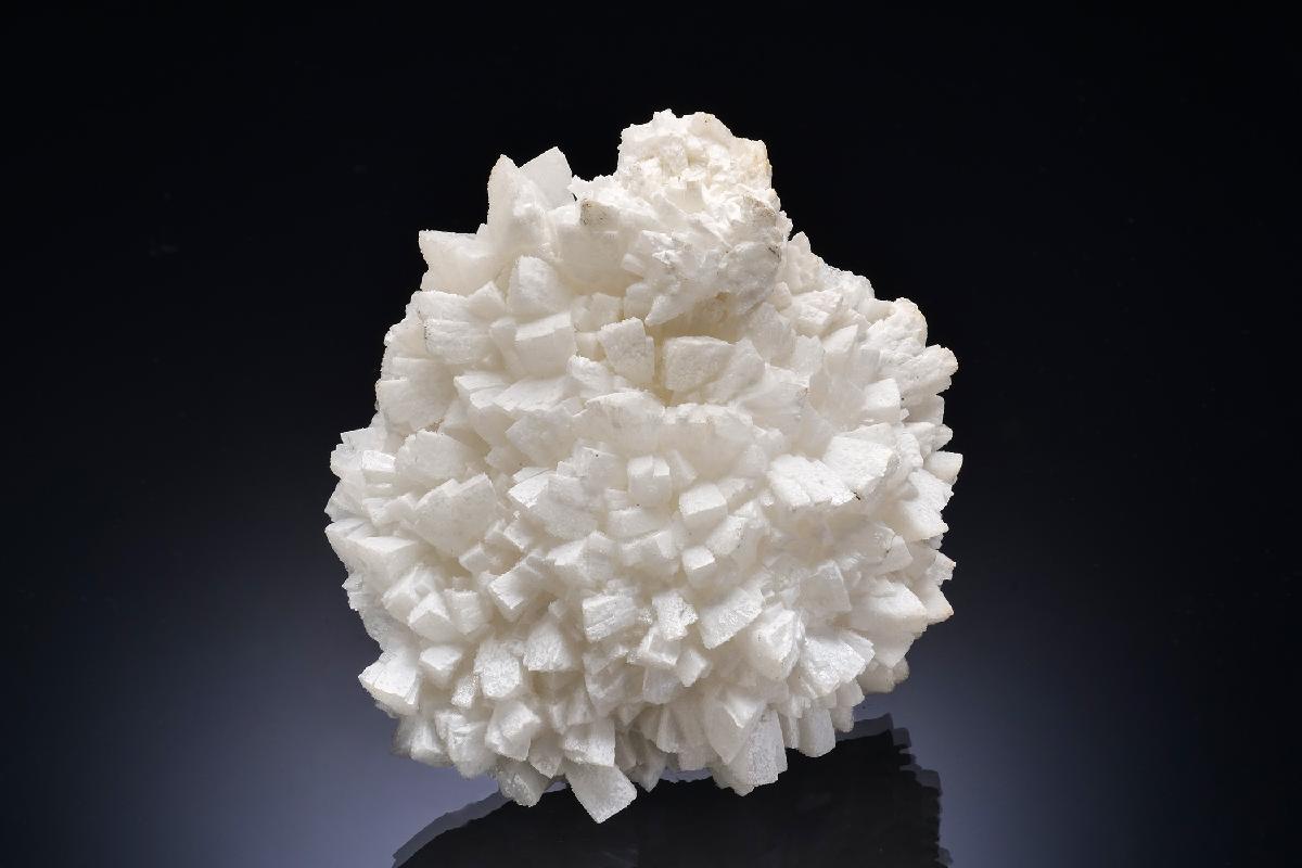 CC56410 specimen image