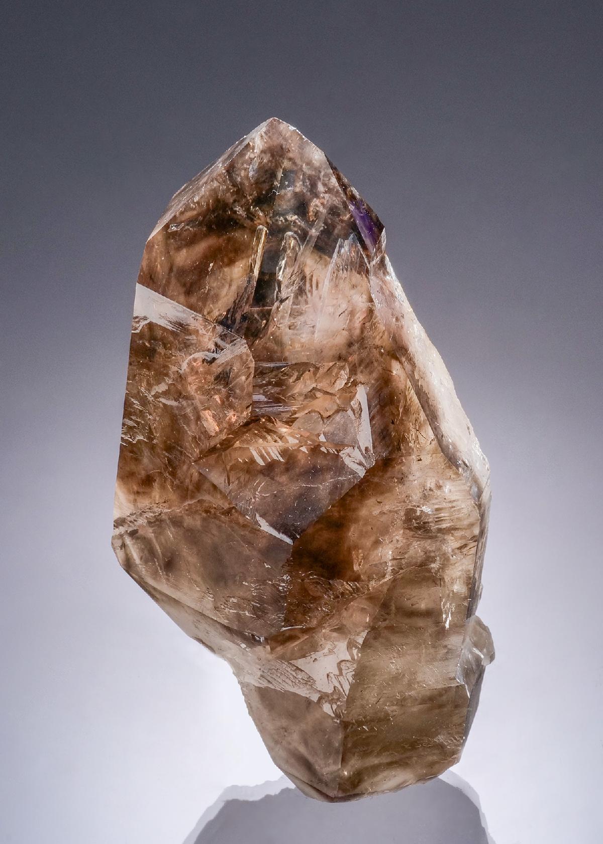 CC56416 specimen image