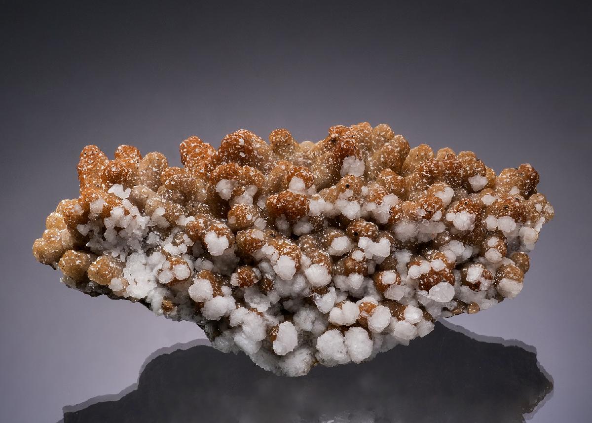 CC56418 specimen image