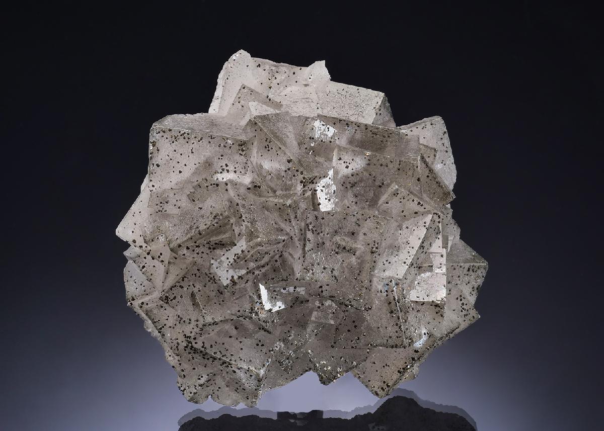 CC56428 specimen image