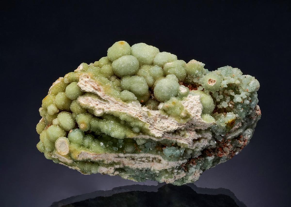 CC56440 specimen image