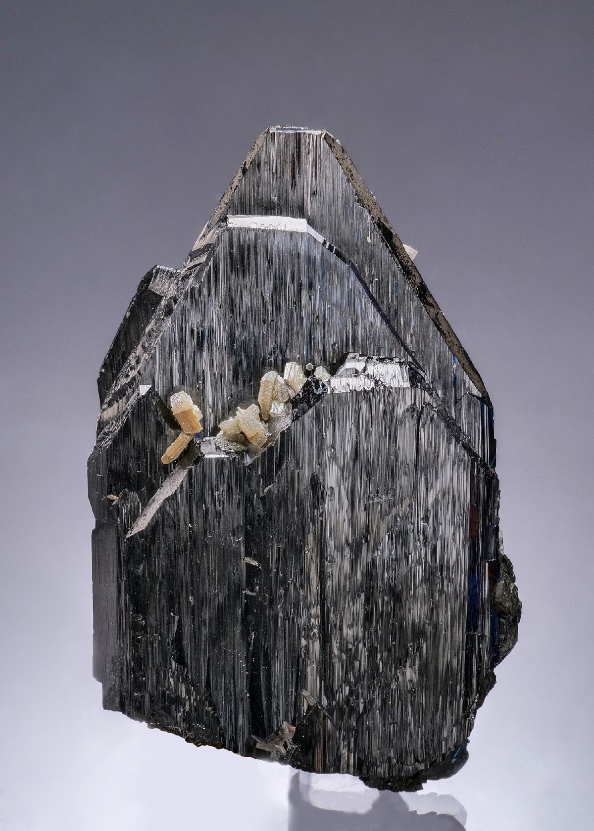 CC56450 specimen image