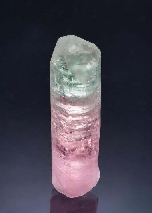 CC56458 specimen image