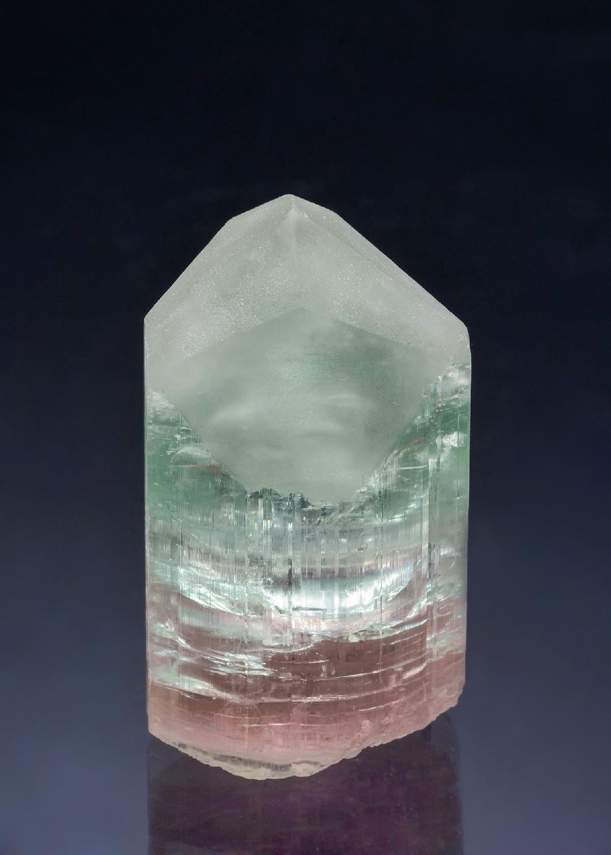 CC56468 specimen image
