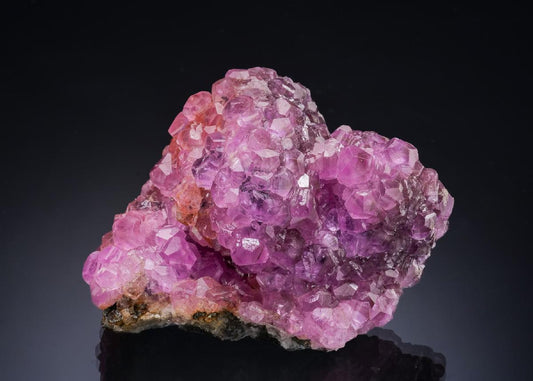 CC56488 specimen image