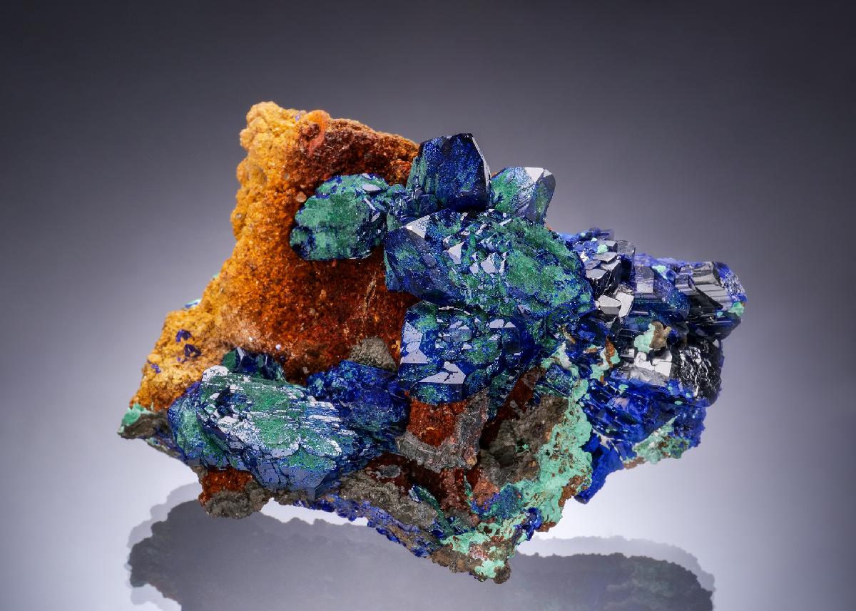 CC56500 specimen image
