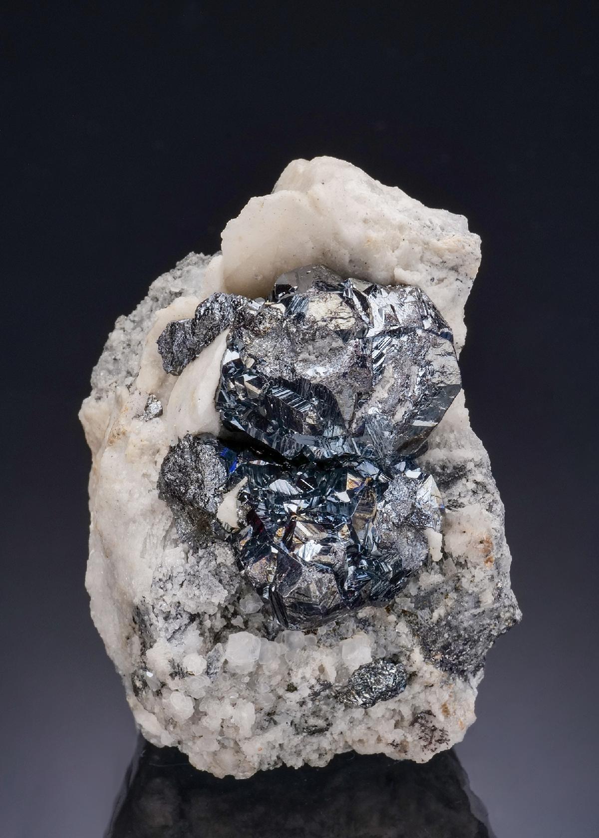CC56502 specimen image
