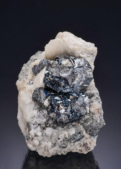 CC56502 specimen image