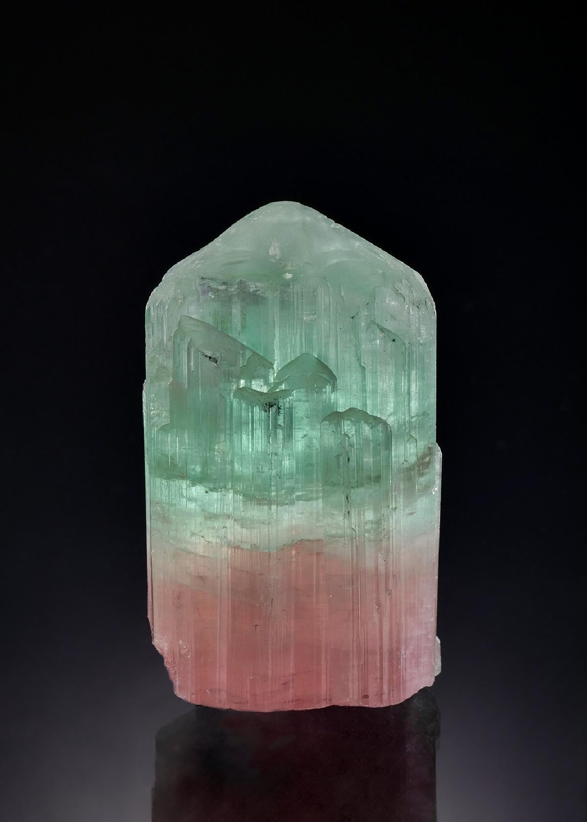 CC56518 specimen image