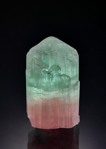 CC56518 specimen image