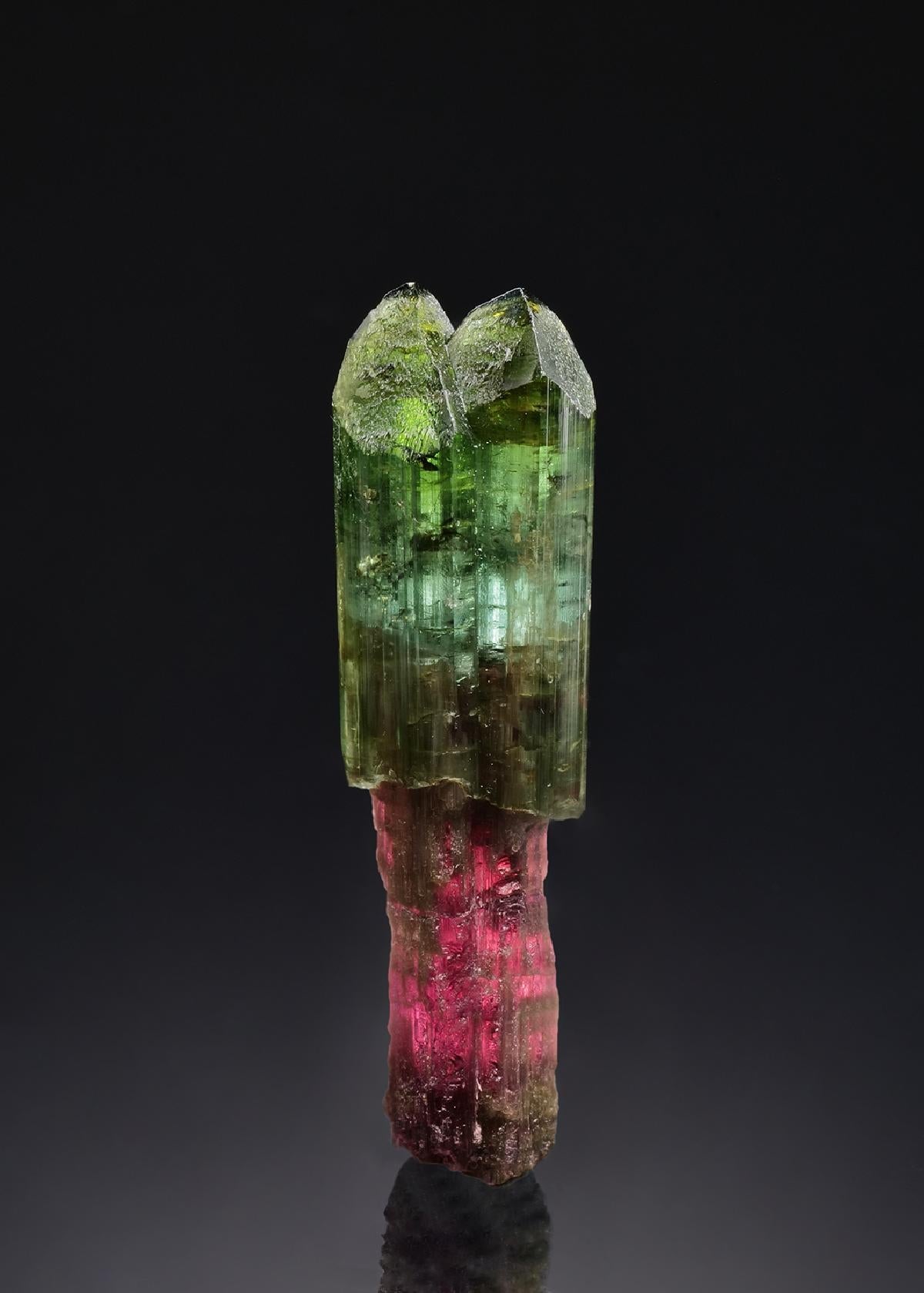 CC56544 specimen image