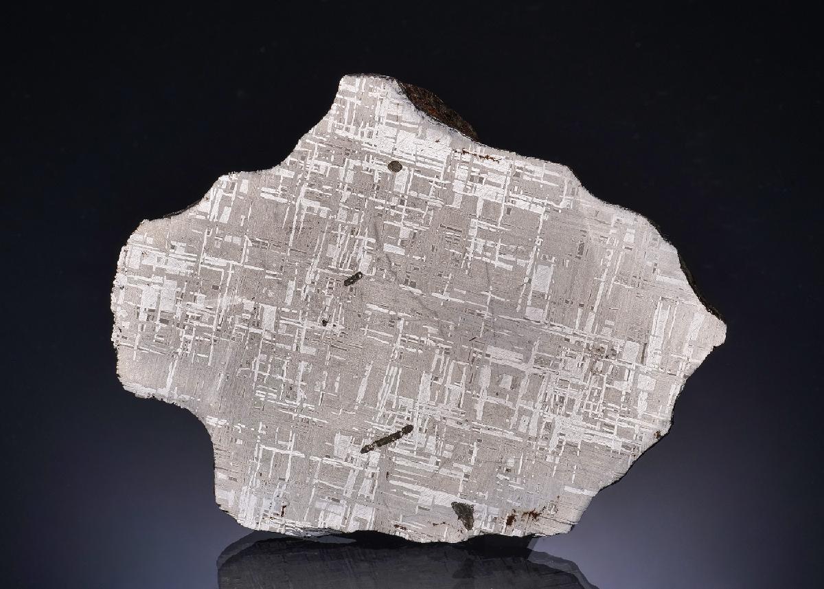CC56572 specimen image