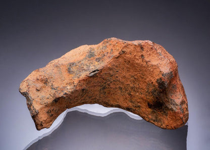 CC56584 specimen image